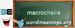 WordMeaning blackboard for macrocheira